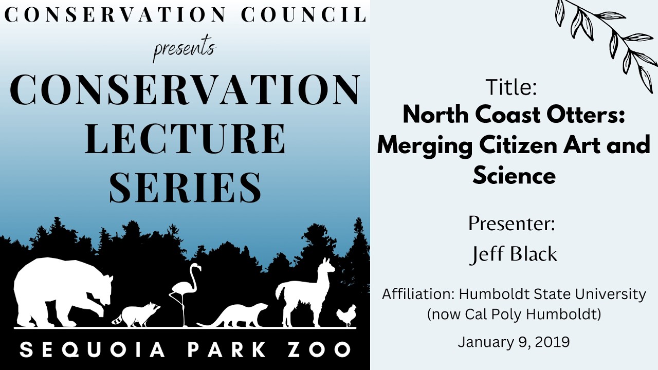 North Coast Otters: Merging Citizen Art and Science – Black – 1/9/19