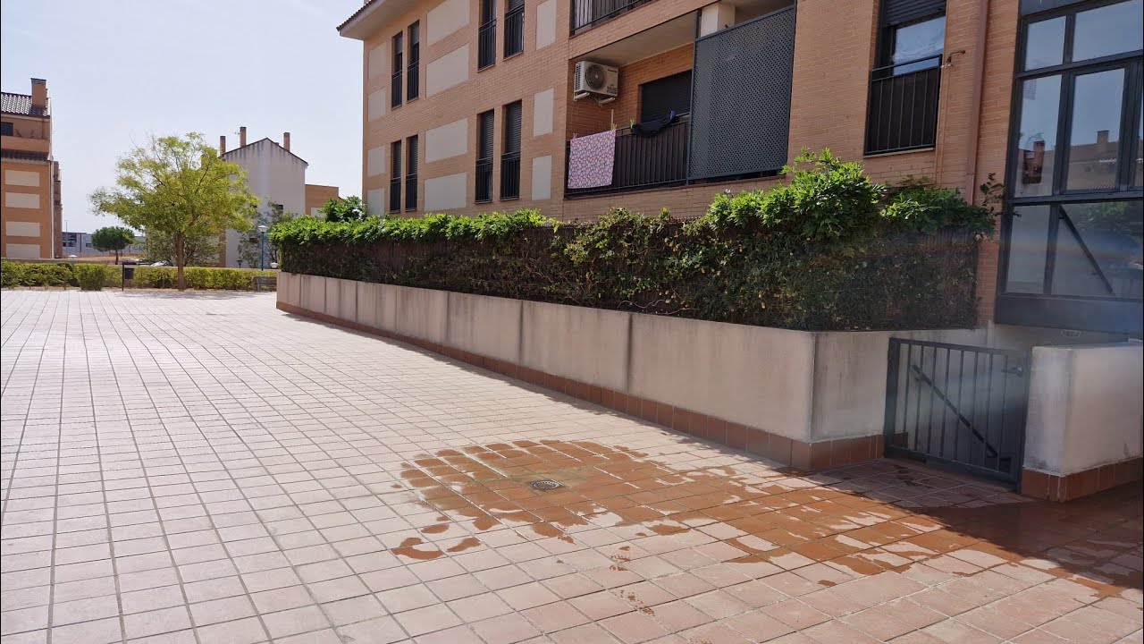 Poda de glicinia y guiado de tallos de flor de la pasión a 21/09/2025