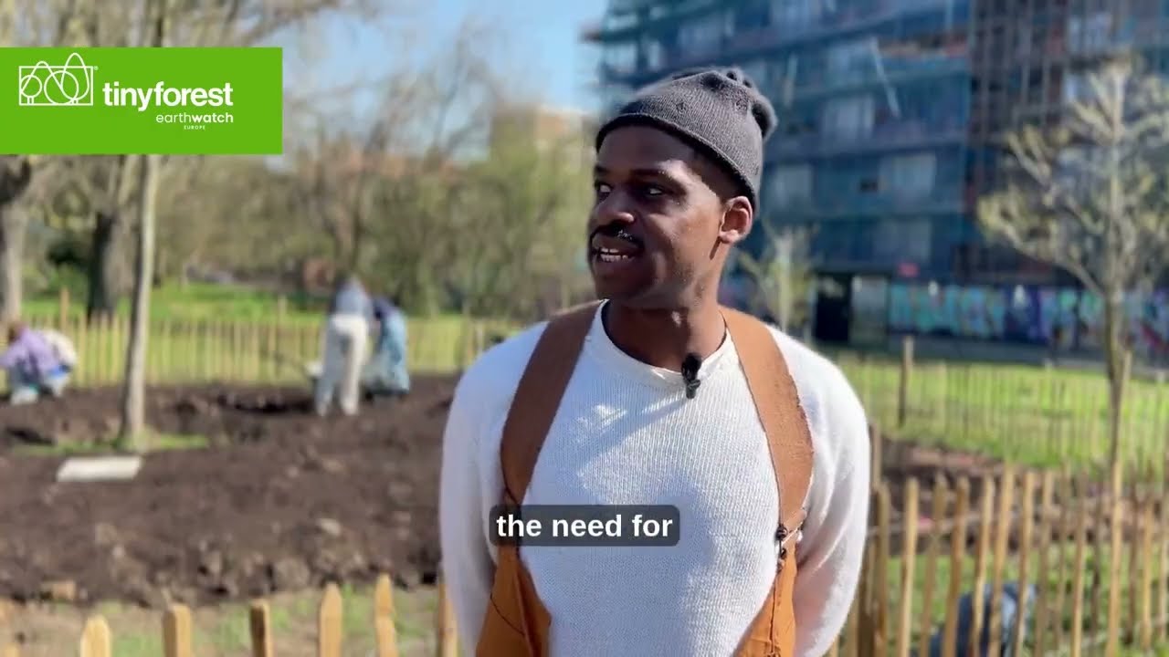 Tiny forest, big impact: watch the residents of Hackney plant 600 trees in one day