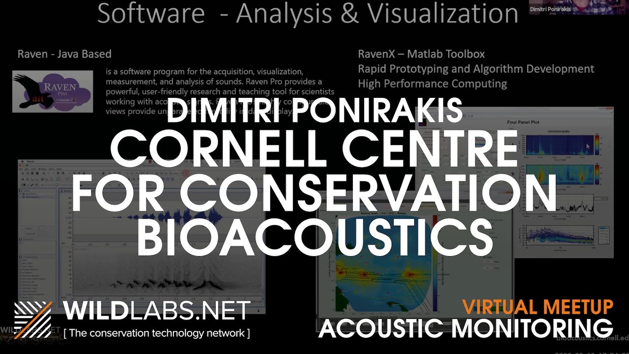 Dimitri Ponirakis: Cornell Centre for Conservation Bioacoustics