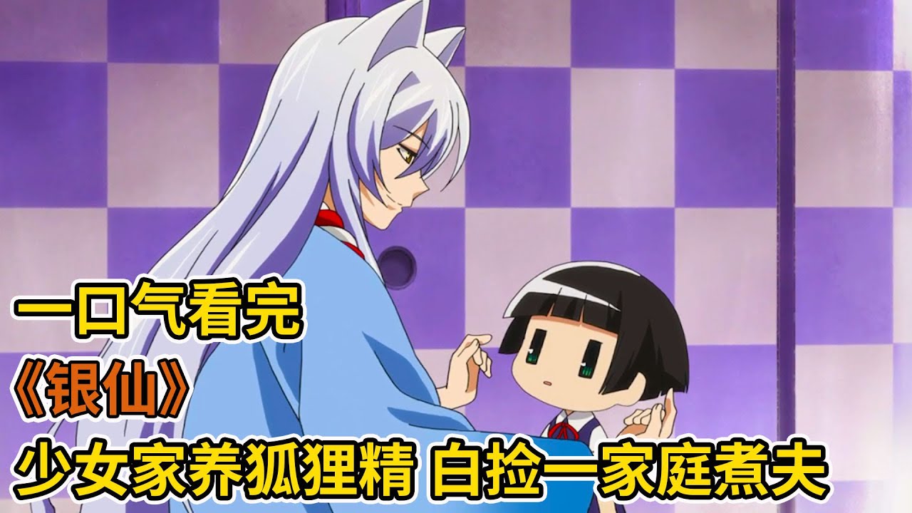 泡麵少女家養狐狸精，人夫屬性全能神，一口氣看完溫馨治愈老番《銀仙》