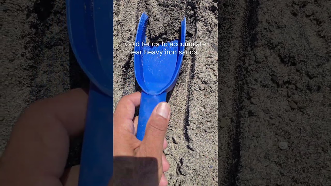 Lake Erie Gold Prospecting! #goldpanning