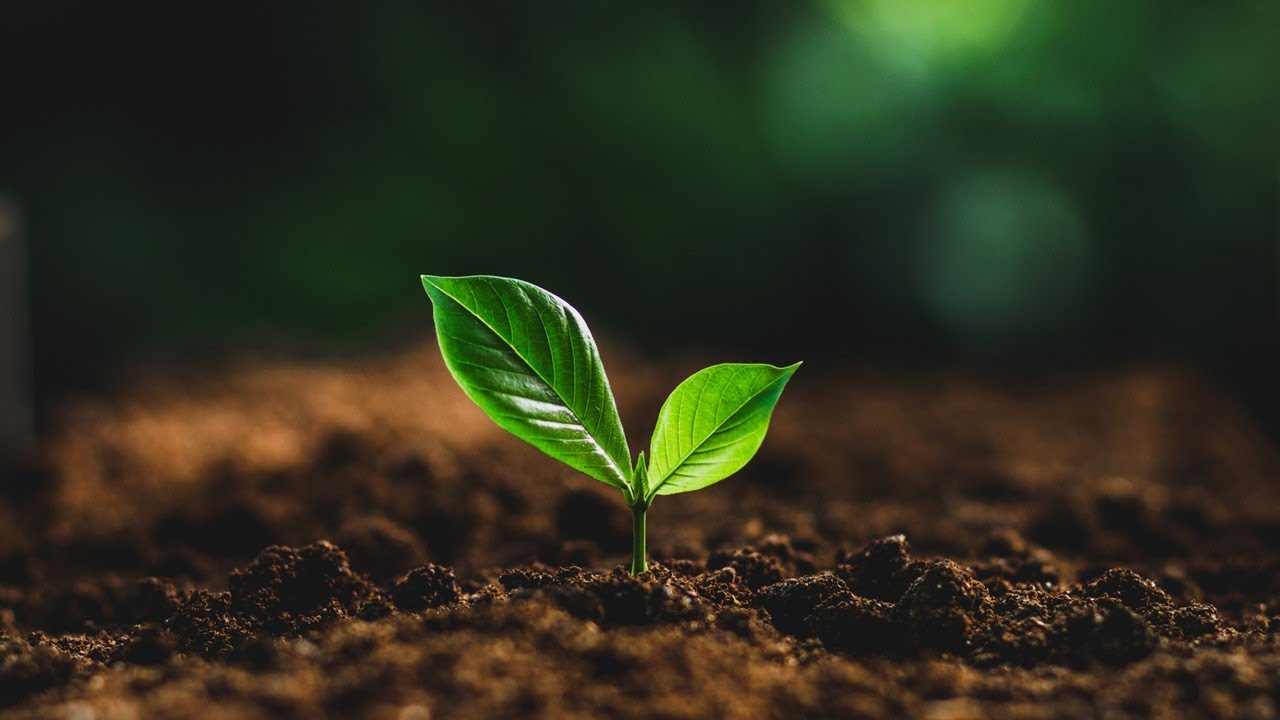 New Beginnings ~ Pastor Greg Harper