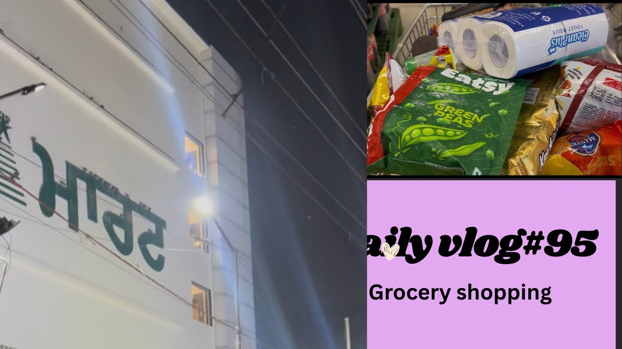 Day-95 grocery shopping 🛒 bachya di demand ni mukdi🤕#couplevlog #familychannel 