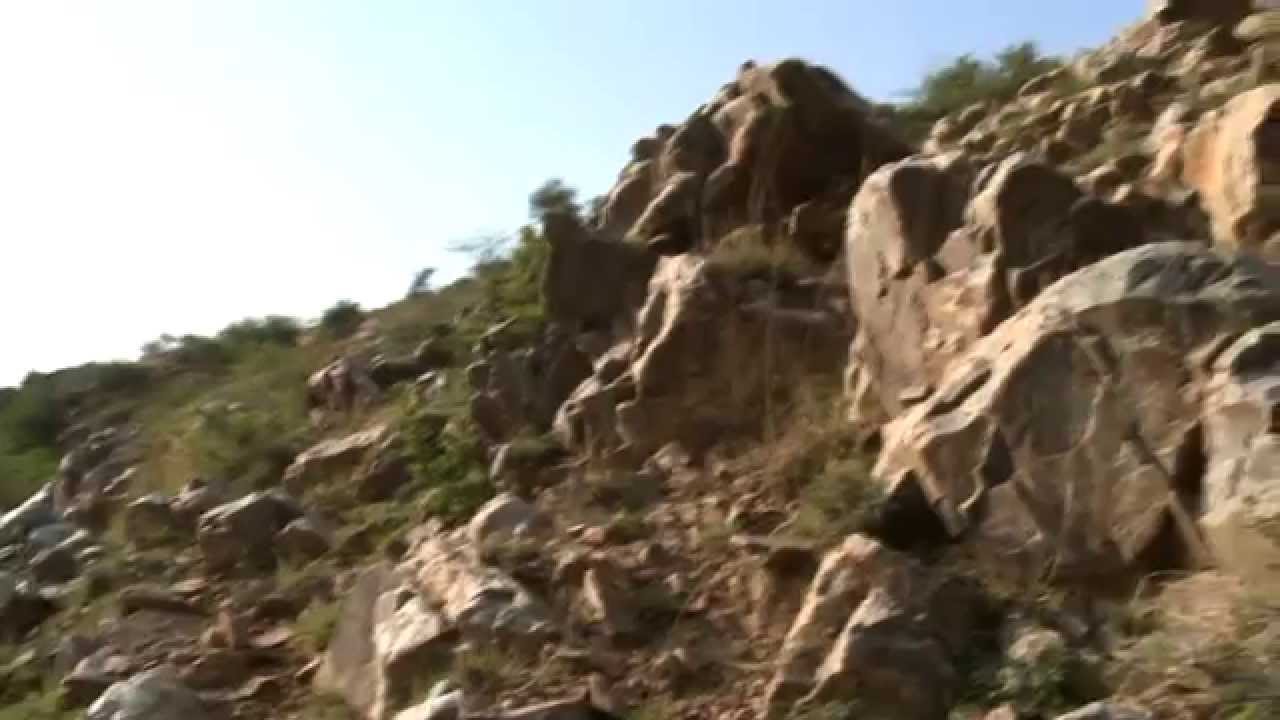 Save Aravallis: An Introduction to project 'Harit Aravalli'