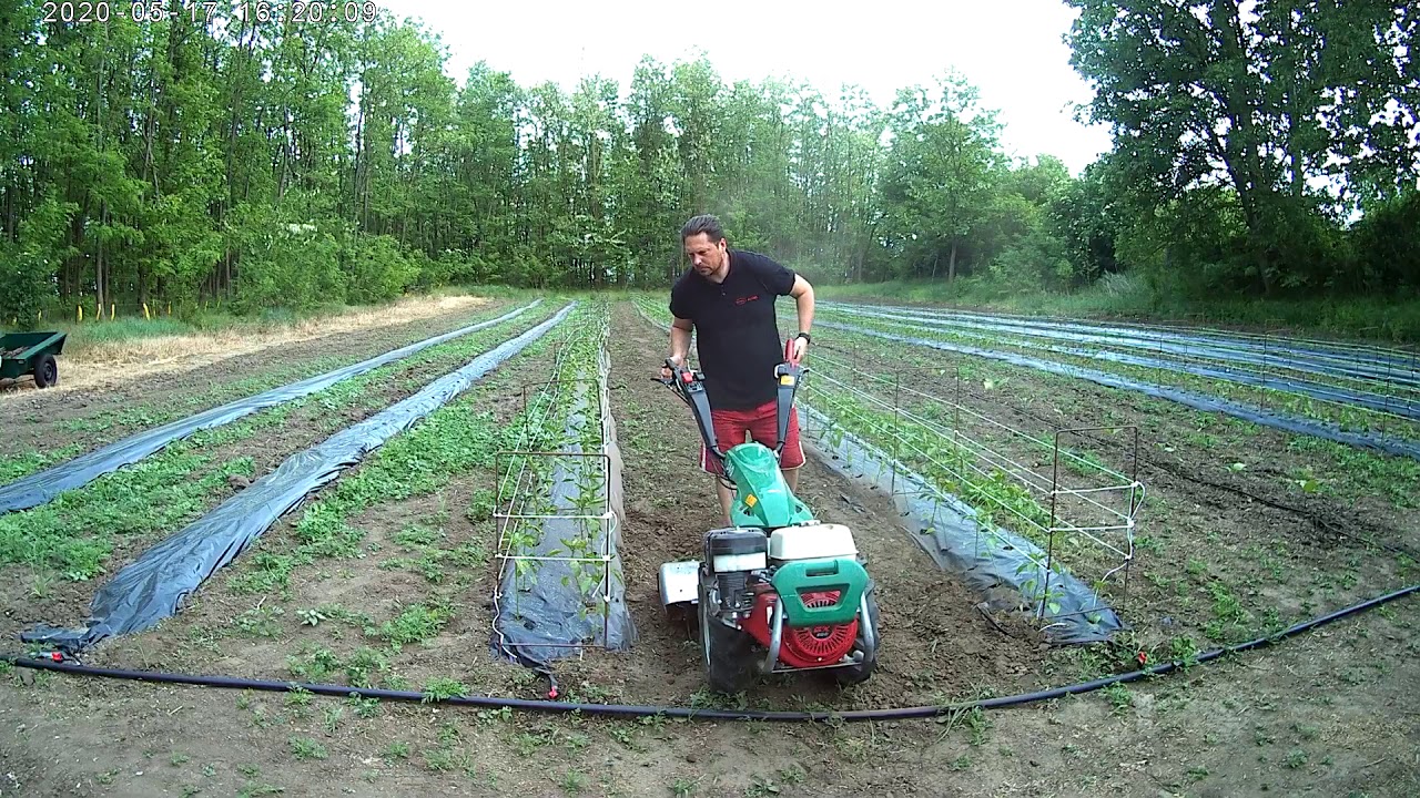 talajmarás kápia. Ferrari 340 power safe two wheel tractor with rotary hoe