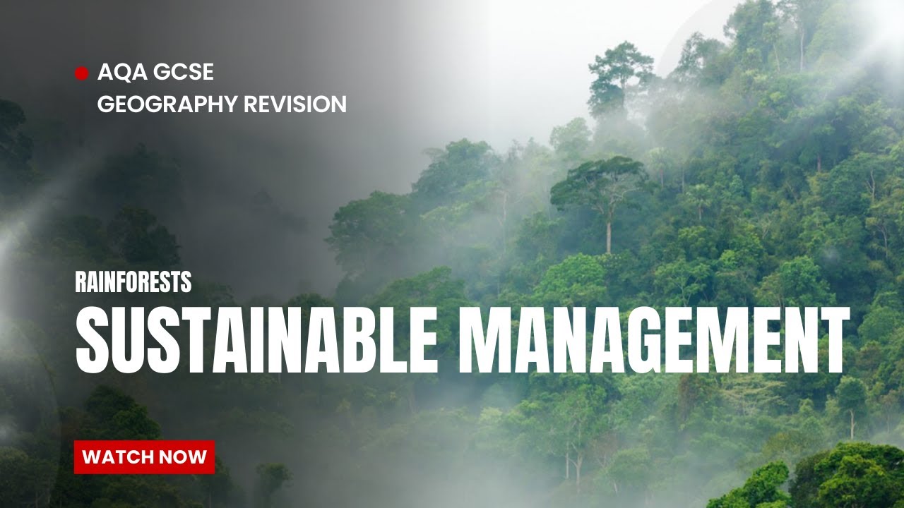AQA Geography sustainable management of rainforests.