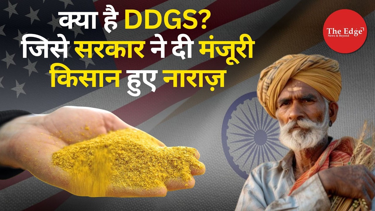 What Is DDGS Approved in India-US Trade Deal: Farmers Angry Over GM Feed Risk