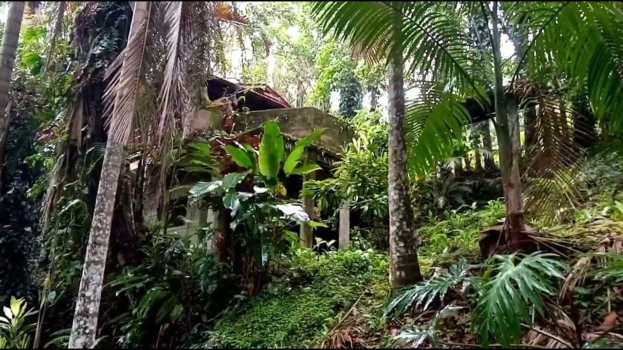 Somos como água de rio que passa rápido demais!