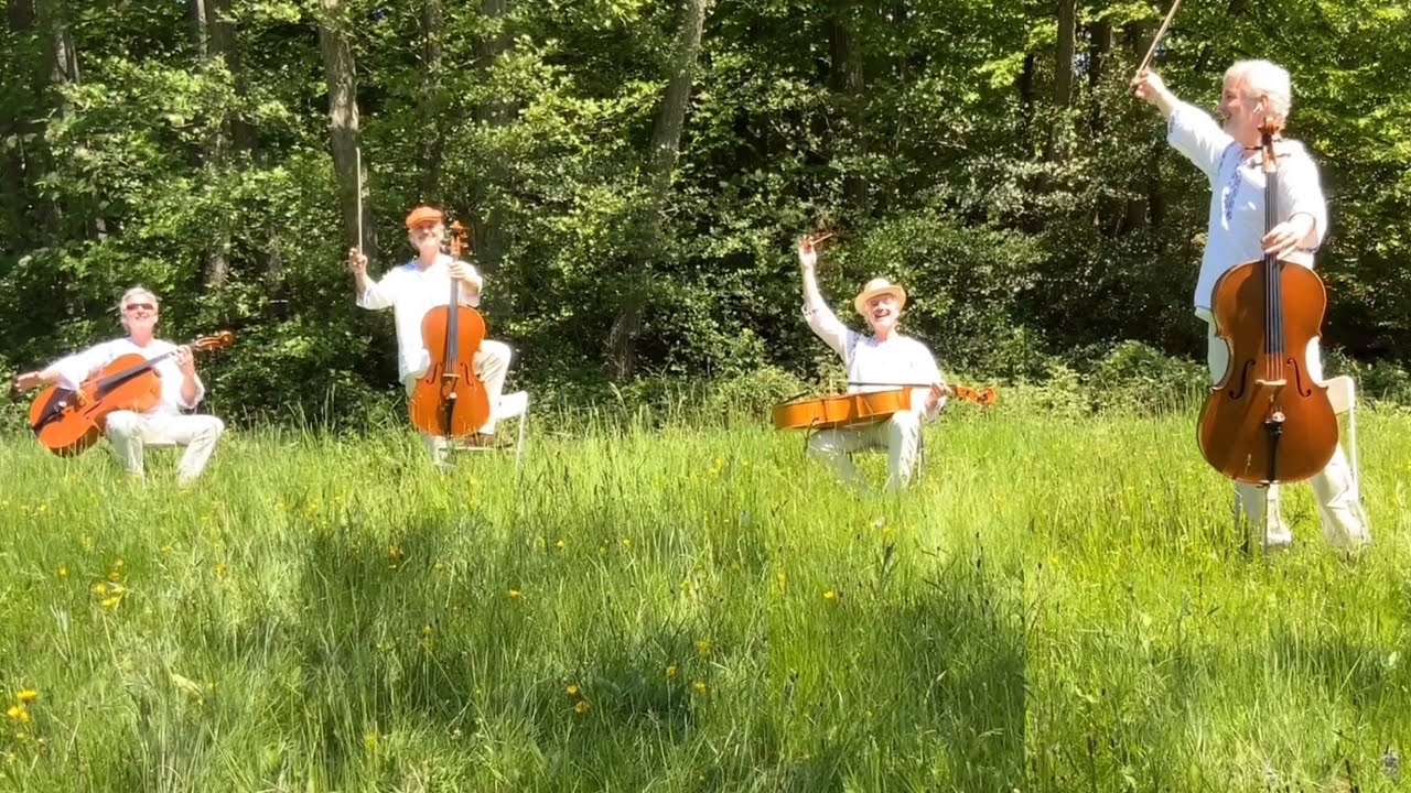 Cioc&acirc;rlia (The Lark) Cello-Cover #romania #cioc&acirc;rlia #cello