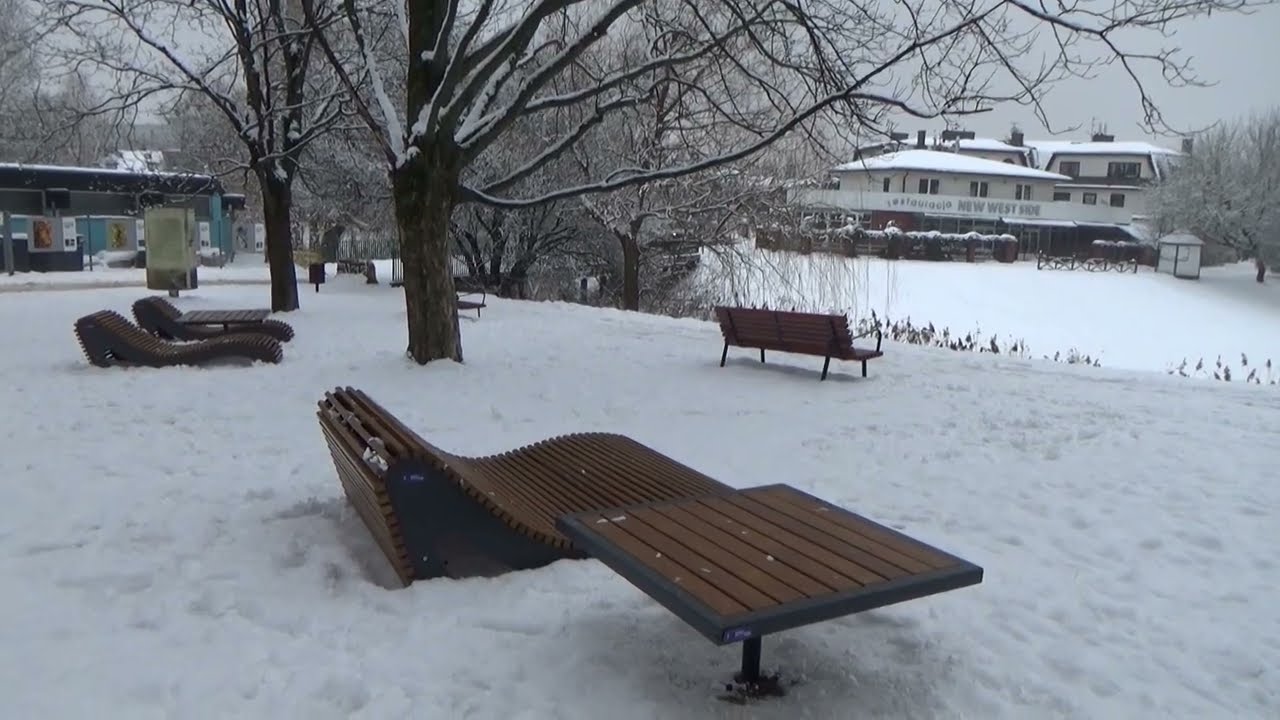[Ochota] Park Szczęśliwicki zimą - 28 stycznia 2026