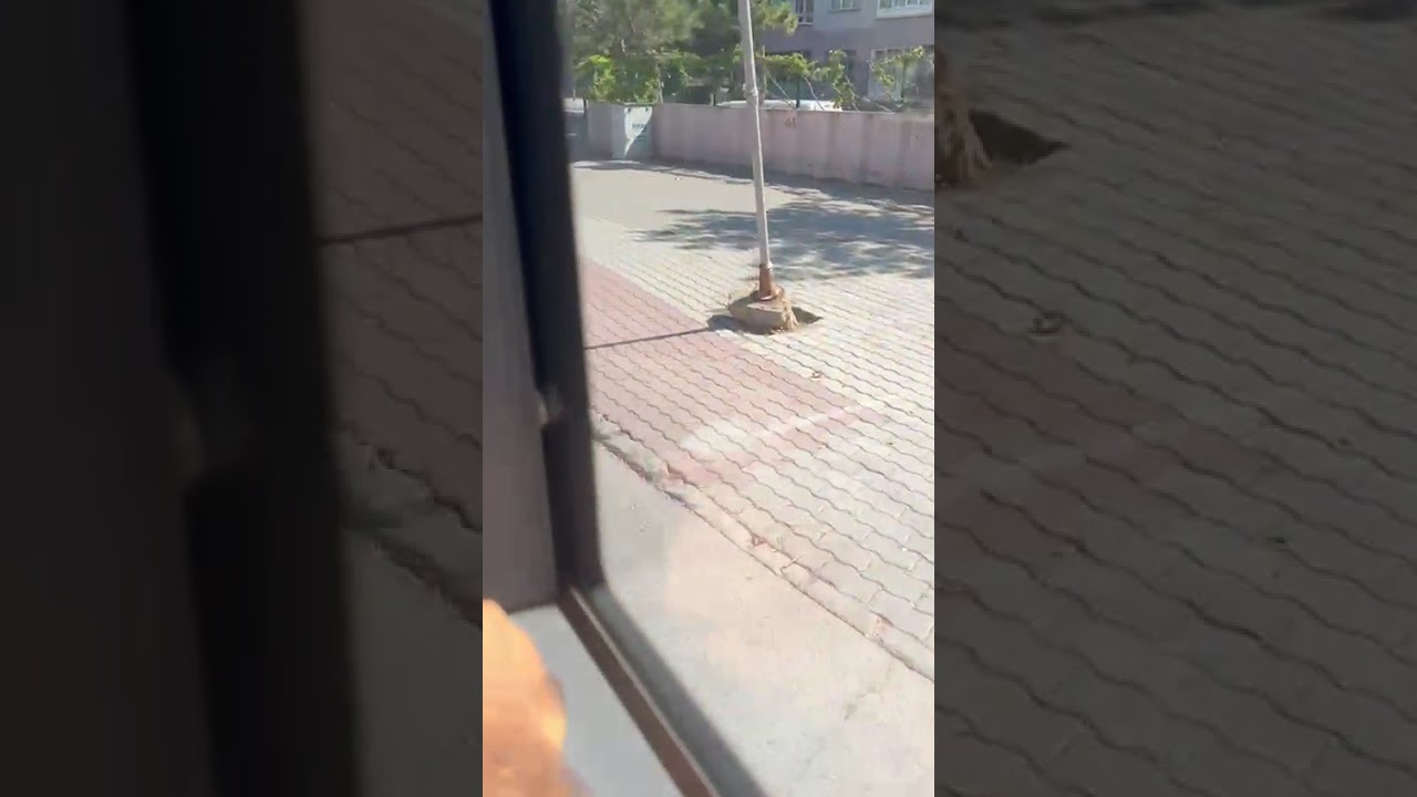 42gülçin60 araç no 39053