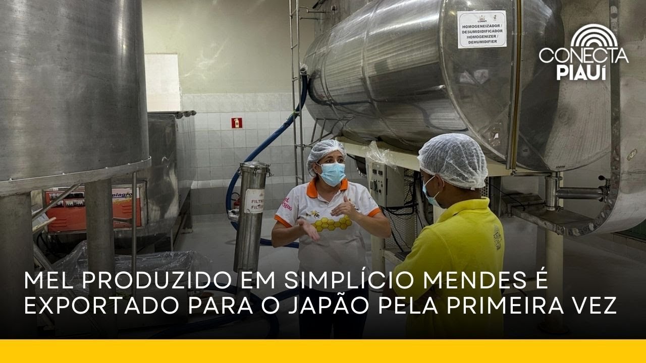 Mel produzido em Simpl&iacute;cio Mendes &eacute; exportado para o Jap&atilde;o pela primeira vez