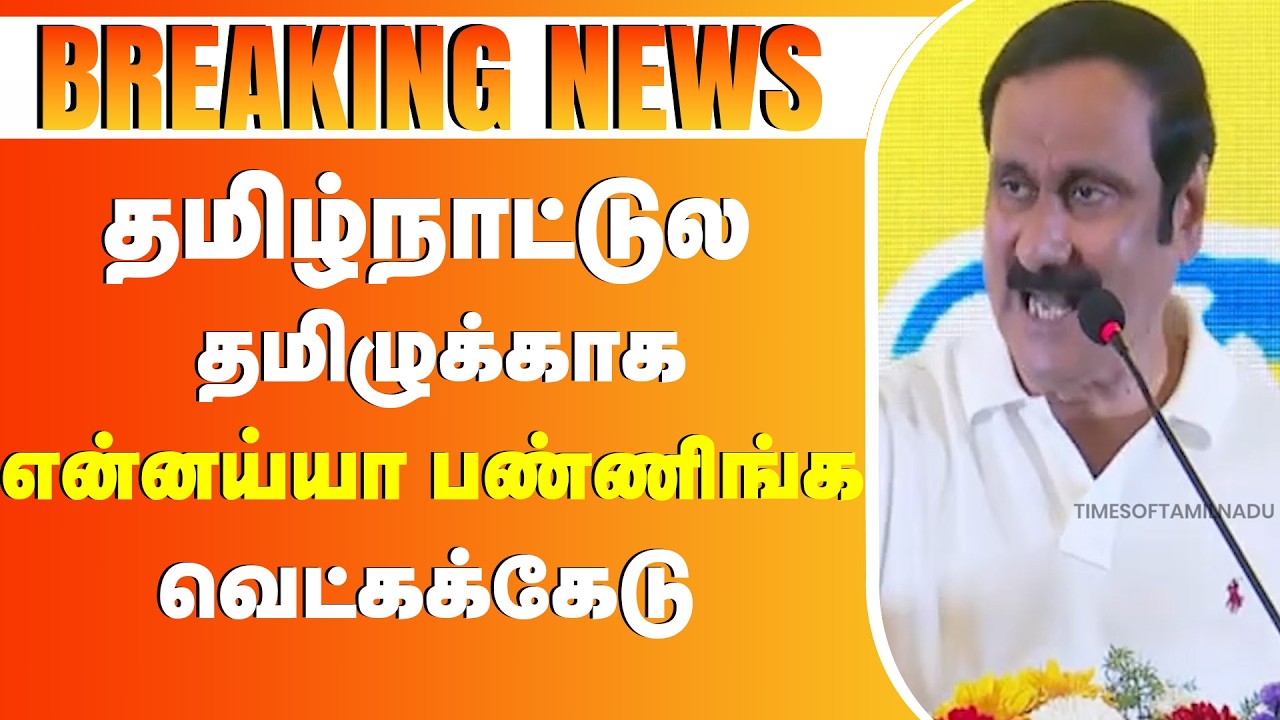 🔥தமிழ்நாட்டுல தமிழுக்காக என்னயா பண்ணிங்க வெட்கக்கேடு திமுகவை விளாசிய அன்புமணி #pmk #anbumani #bjp