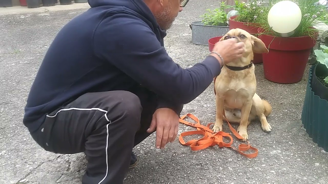 Gehorsam und das kleine ein mal eins des Konfliktmanagement  mit Schnaggel.