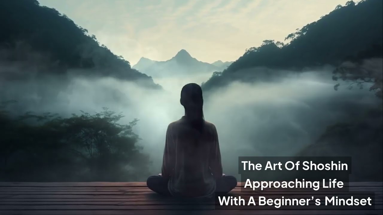 The Art of Shoshin  Approaching Life With a Beginner's Mindset