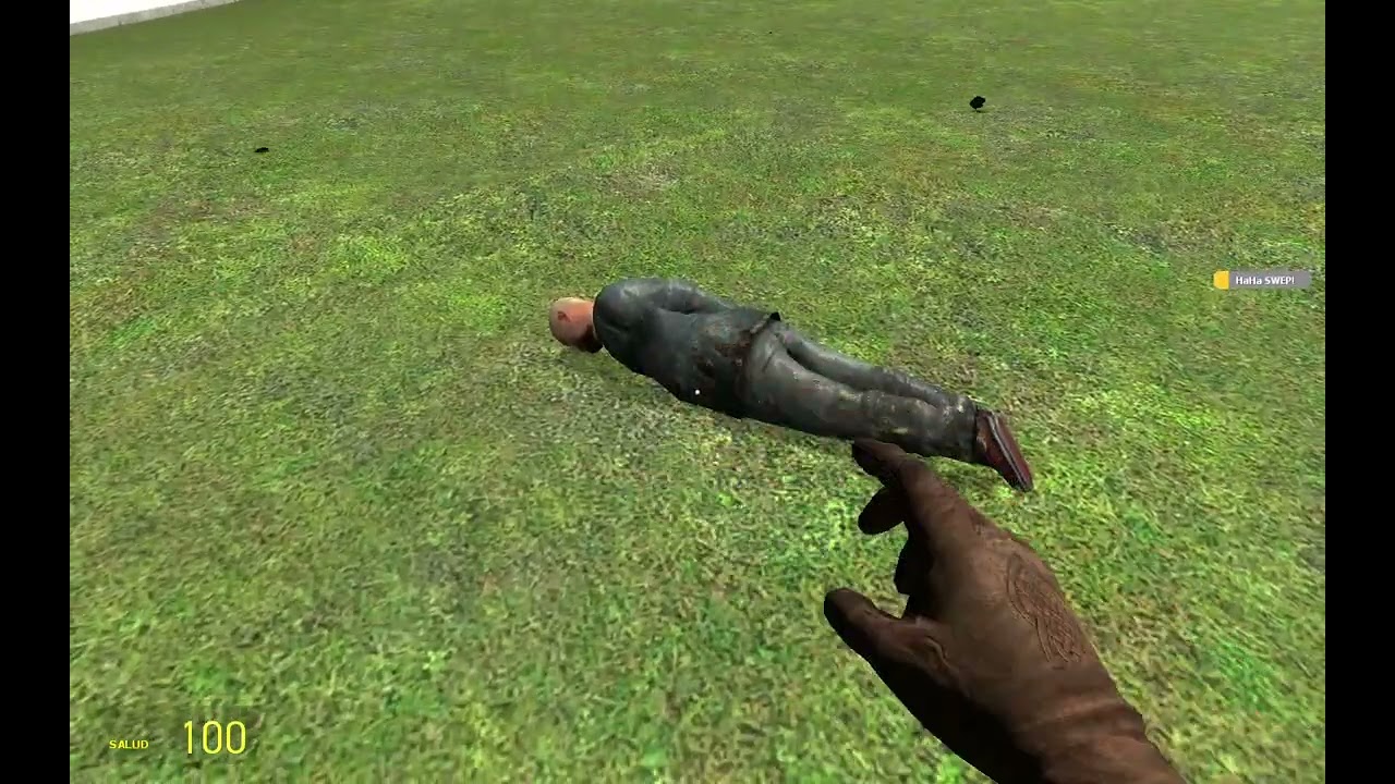 probando armas de gmod👍
