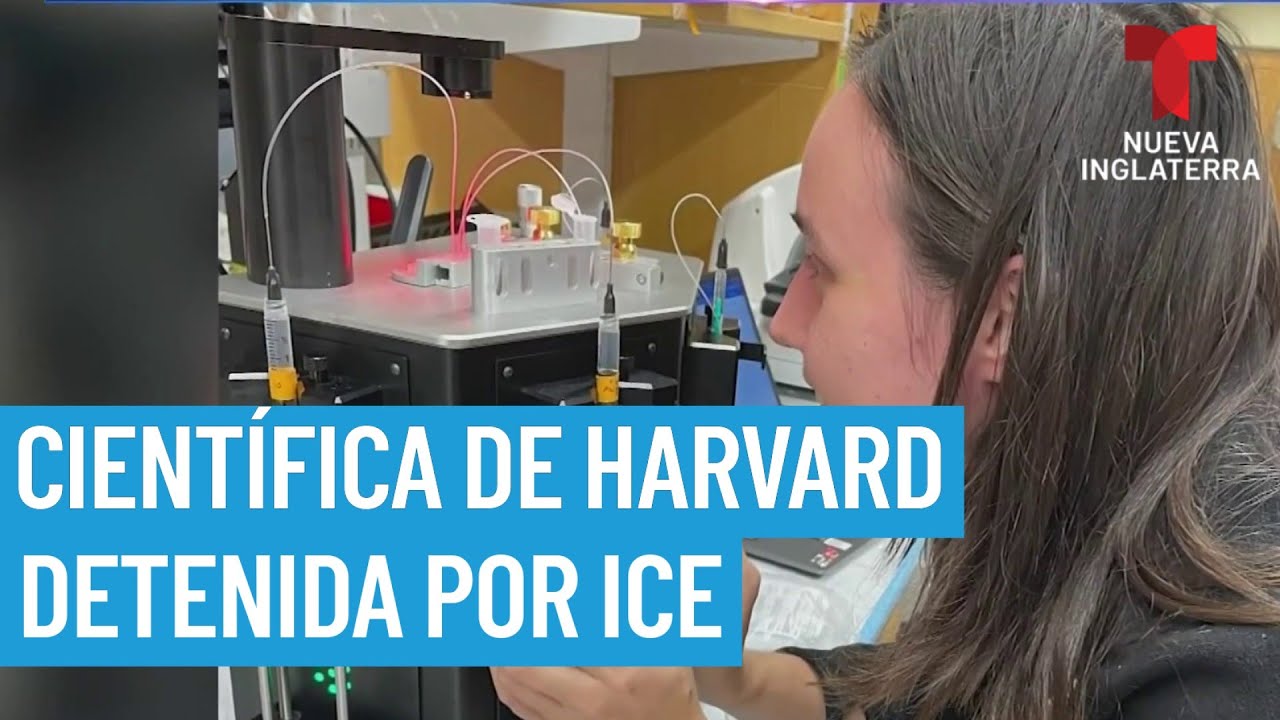 Científica rusa de Harvard lleva semanas detenida por ICE