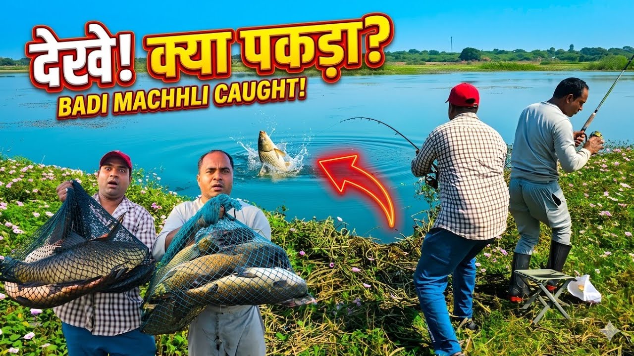 Big Fishes Hunting & Catching | Techniques Hook Fishing | Float Fishing Videos