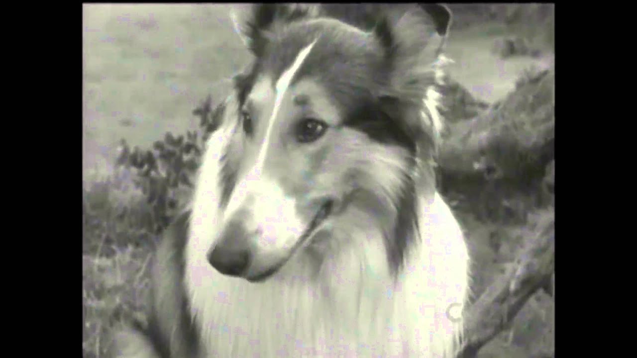 Lassie - Episode #307 - 