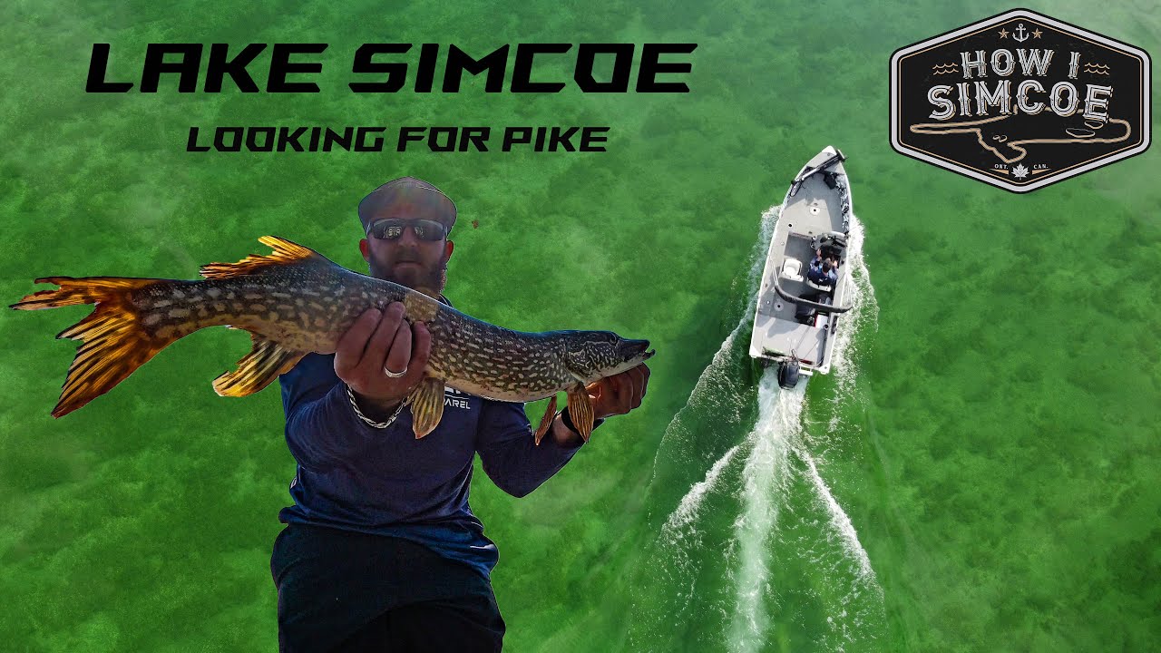 Lake Simcoe looking for Pike plus drone footage