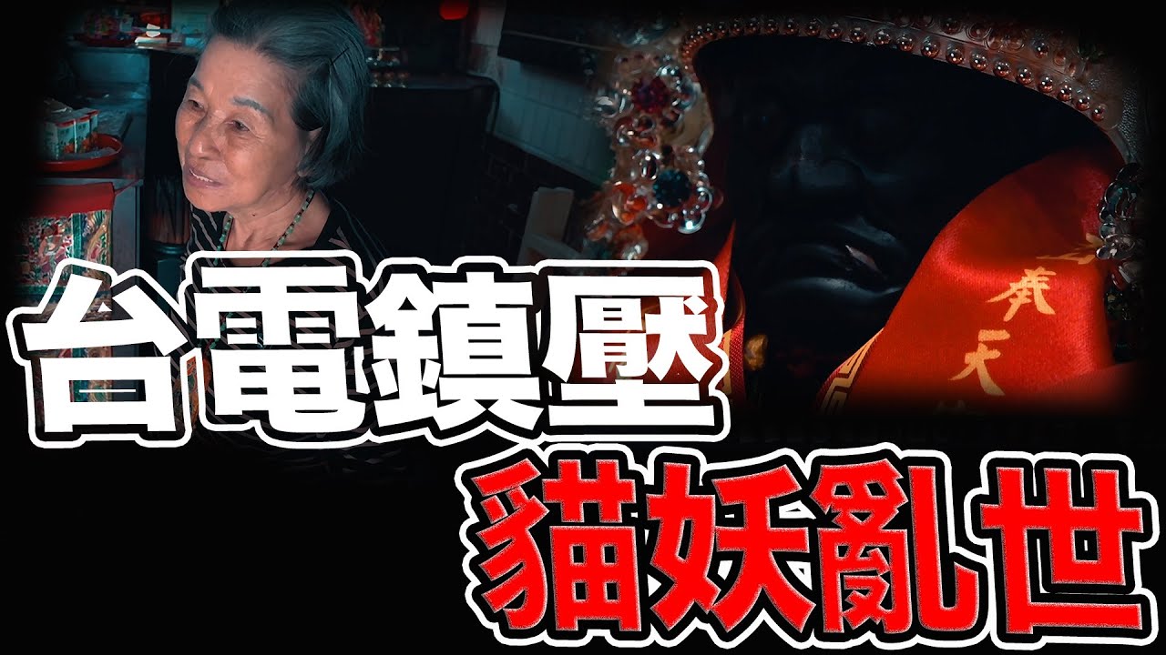 台電官方認證！貓妖亂世｜上萬貓靈怨念成妖｜工程人員束手無策｜
