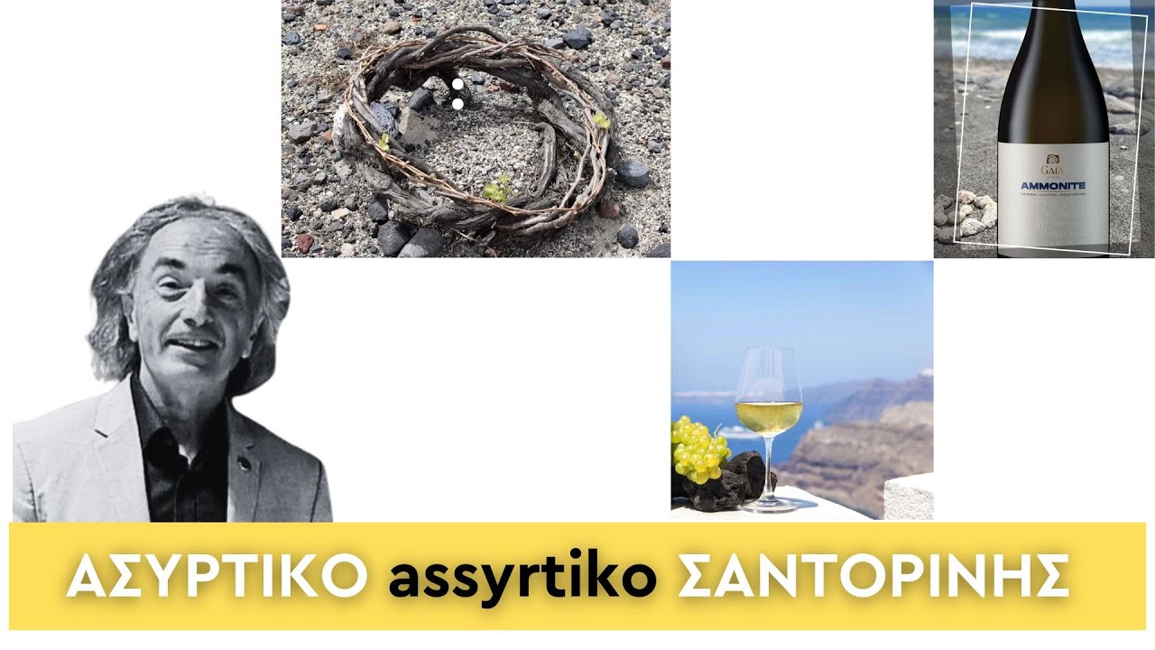 Ωδή στο Ασύρτικο της Σαντορίνης: Μια συζήτηση για το πιο εμβληματικό terroir του κόσμου