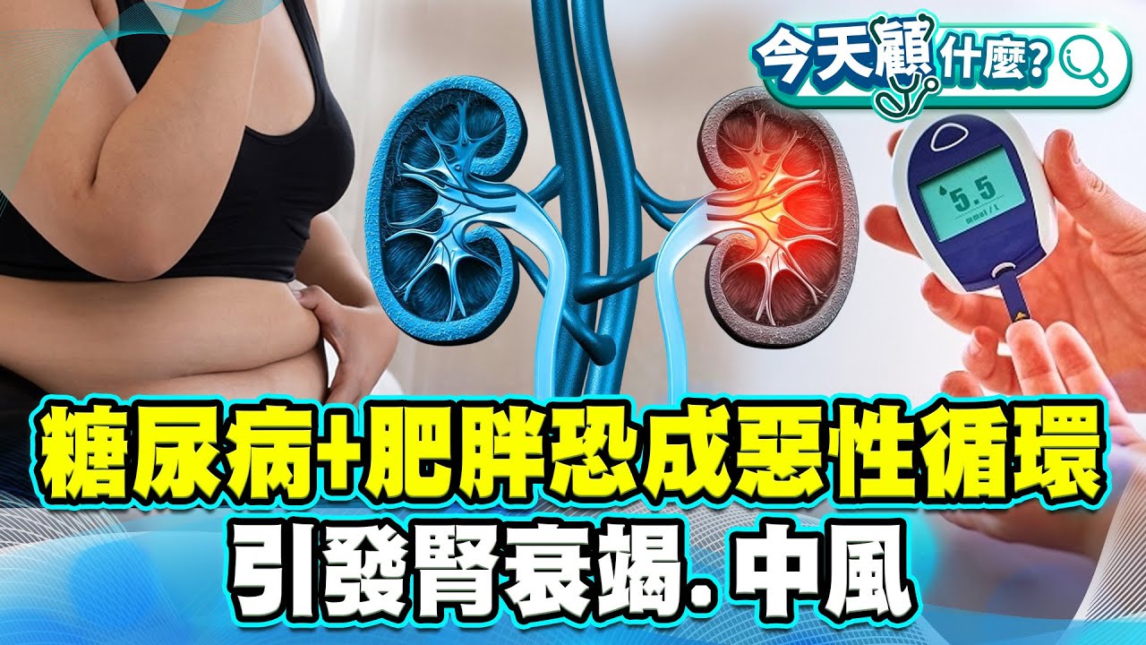 糖尿病+肥胖恐成惡性循環！引發心臟功能危機 心衰竭、腎衰竭、中風風險提升！【#今天顧什麼？】健康2.0 ​ @tvbshealth20​