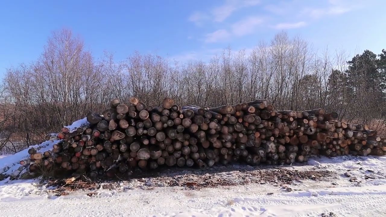 THE FARMHOUSE. Getting Ready For A Big Winter Storm. Cutting more wood. Farmhouse cooking.