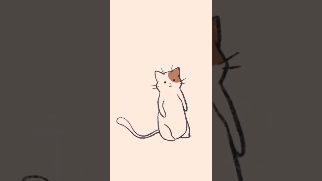 Fly cat 😺 meow meow