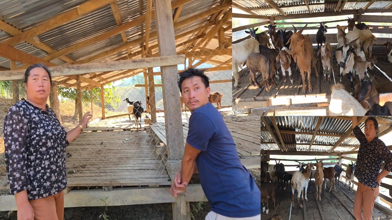 Mus Nriav Me Es Pauj Yeem  2/19/2026