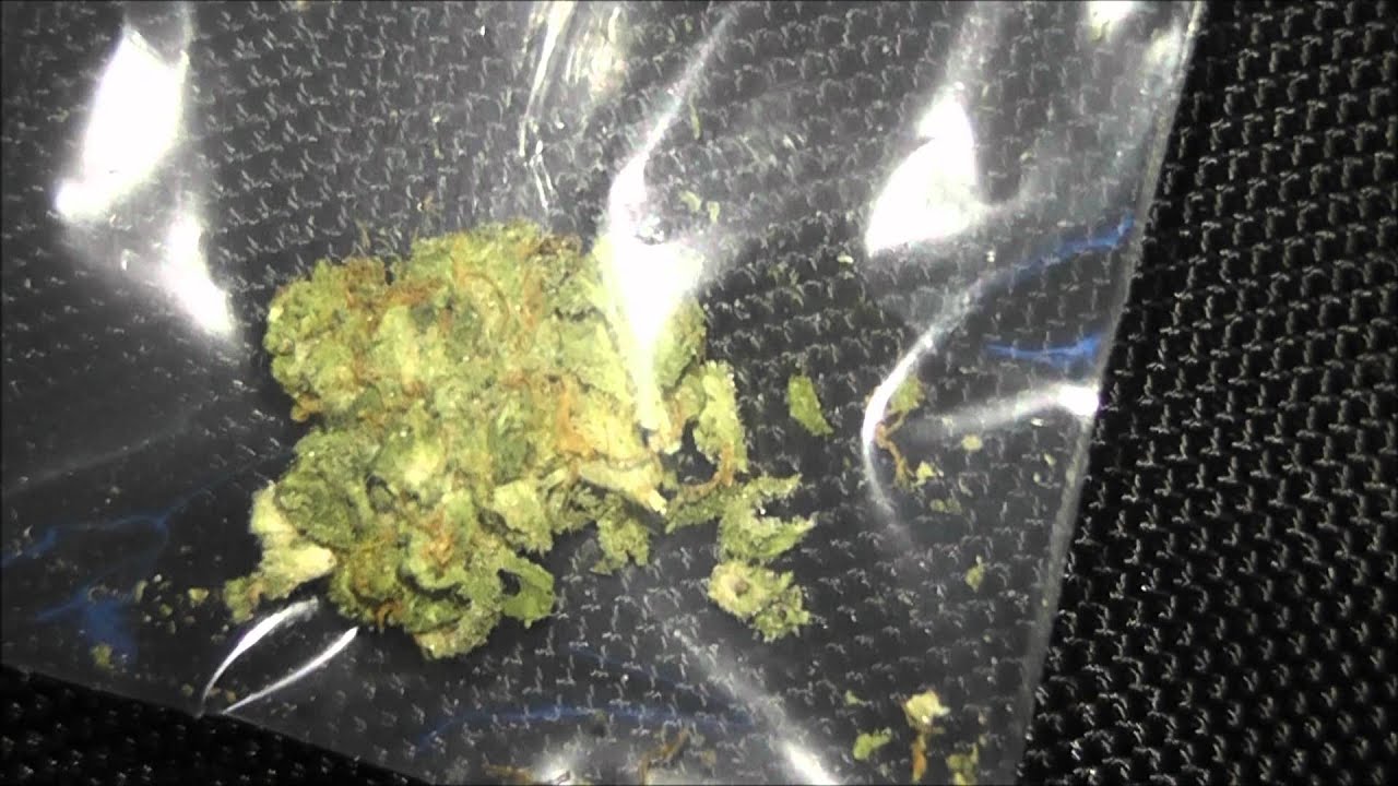 24th Cannabis Cup 2011