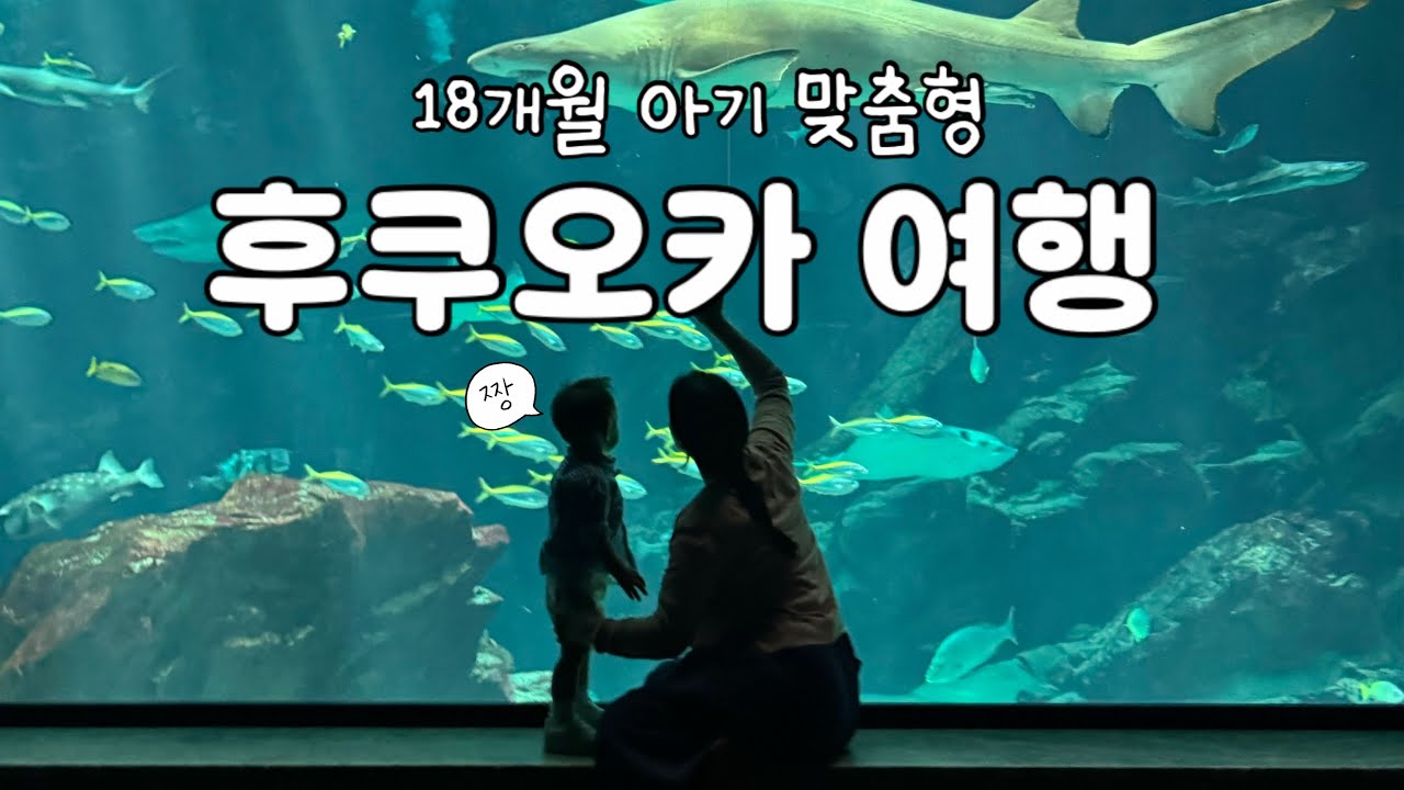 18개월 아기 맞춤형 후쿠오카 태교(?)여행 | 후쿠오카2편 | 마린월드