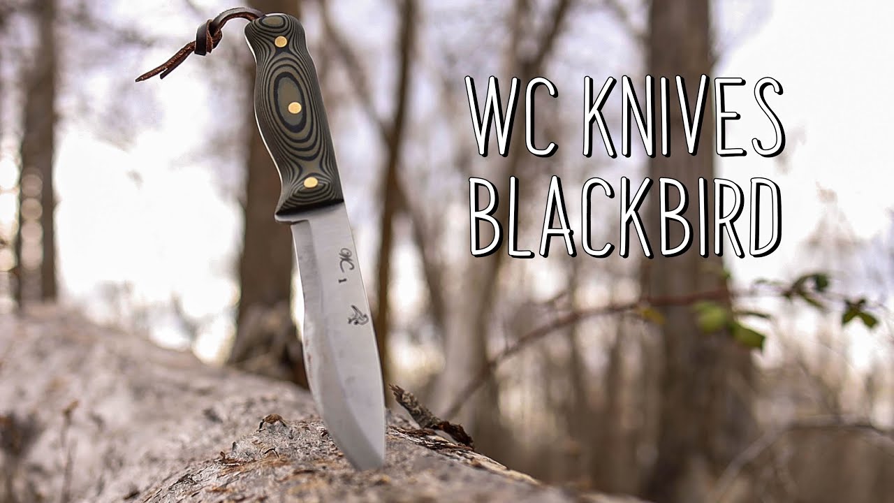 WC Knives Blackbird | First Impression and Use