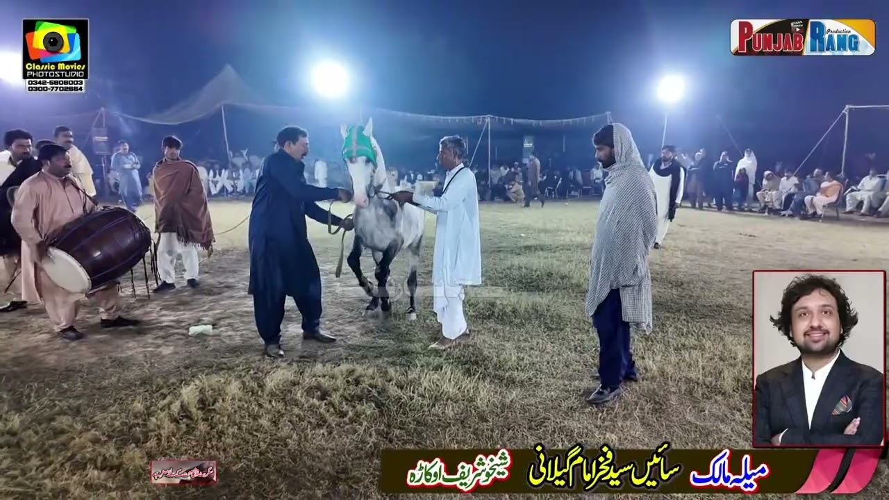 Bamsi l Sawa Kharlan Da l Horse Dance13 November 2025 l Arkana Waseeran l Malik Asif Ali Waseer