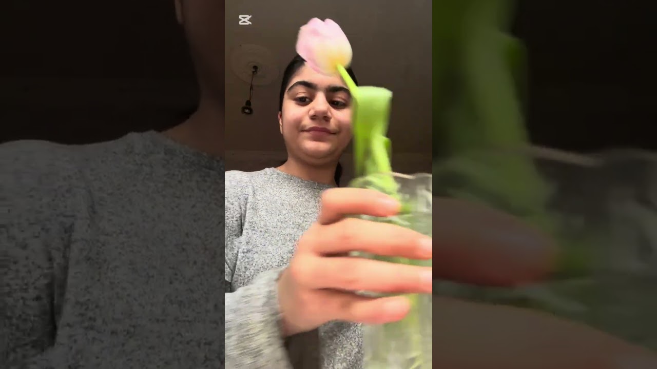 🧑‍🔧bakım 