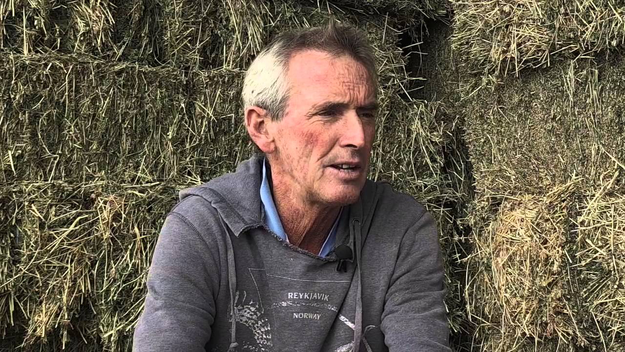 In My Stable - Steve Turnbull