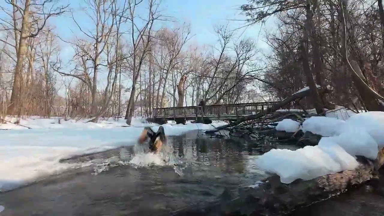 Flying at the frozen river