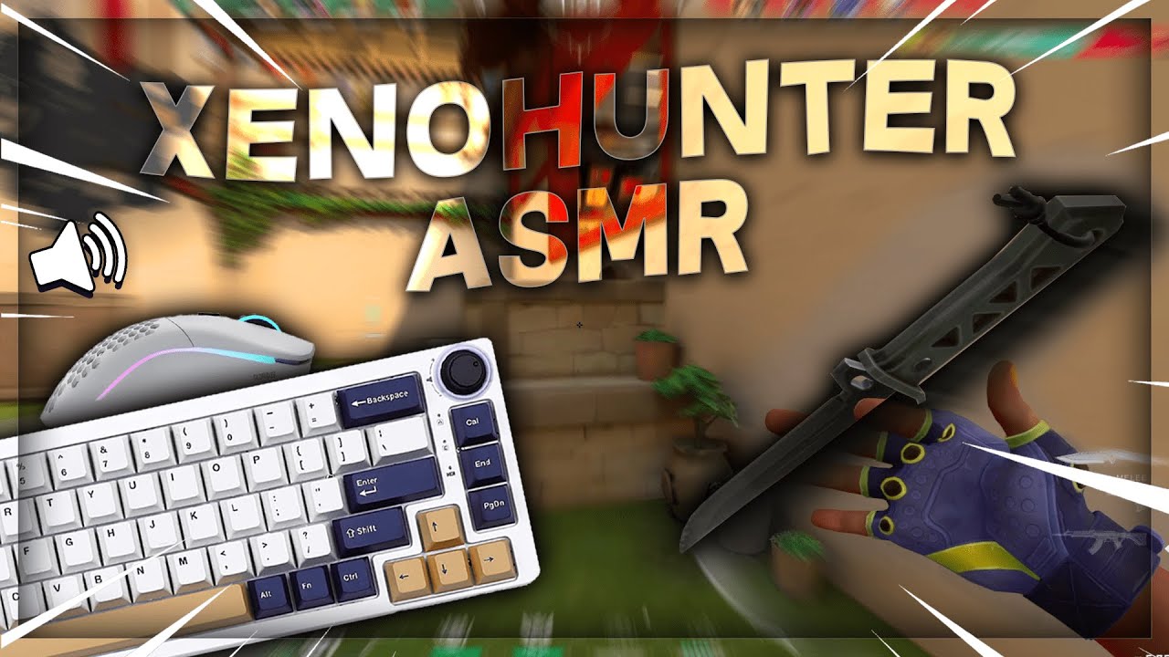 Valorant Xenohunter Asmr Best Knife !