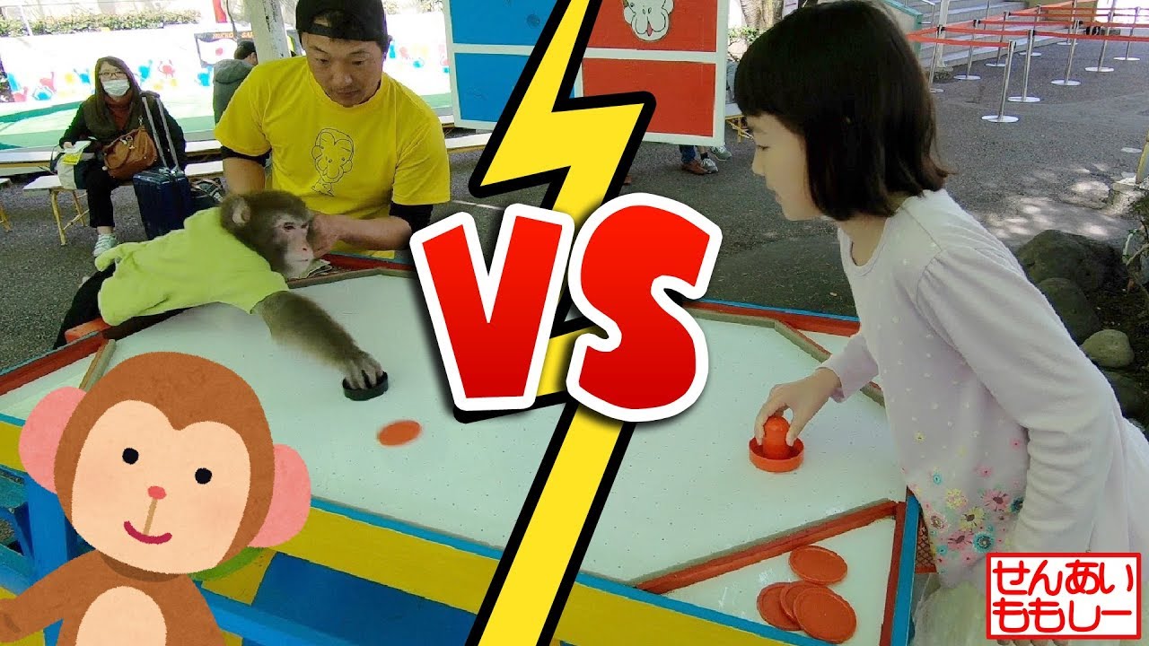 おさる VS せんももあい エアホッケー対決！ 日光さる軍団