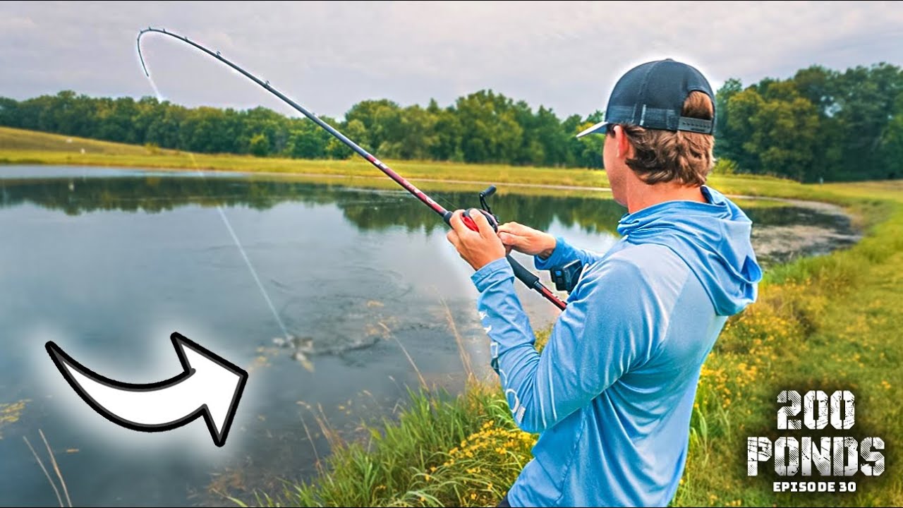 Did I Hook The BIGGEST Bass In This Pond? (