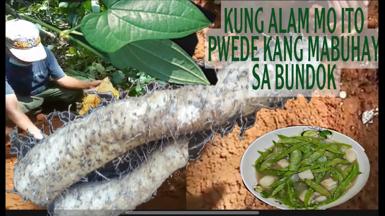 CATCH AND COOK PAKET/KAMANGEG/YAMAIMO/MOUNTAIN JAM