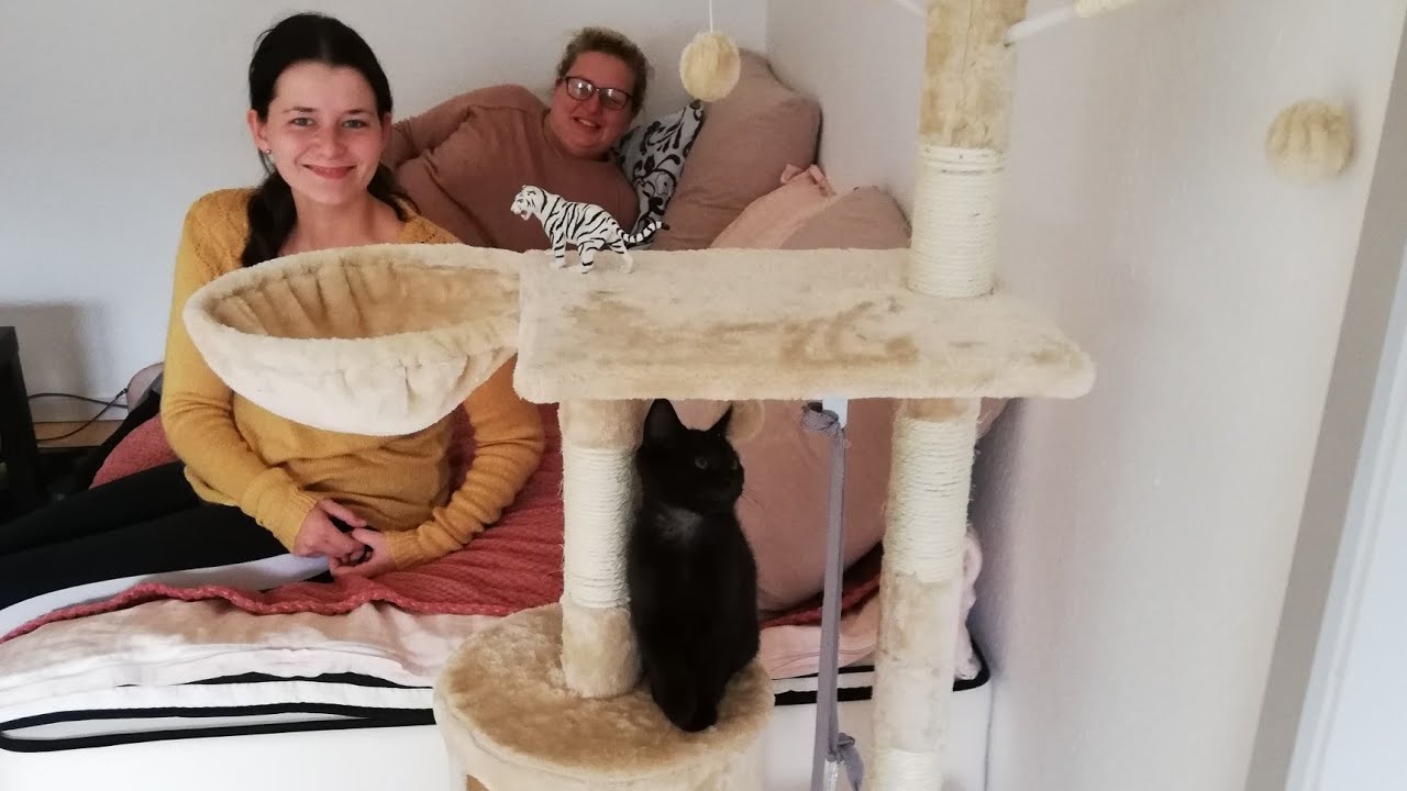 Se vores datter Michelles NYE LEJLIGHED & KATTEKILLING 🐈