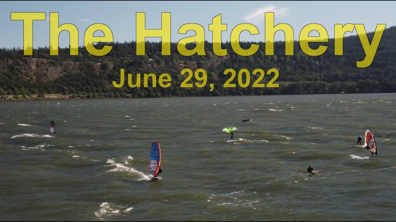 The Hatchery, 06/29