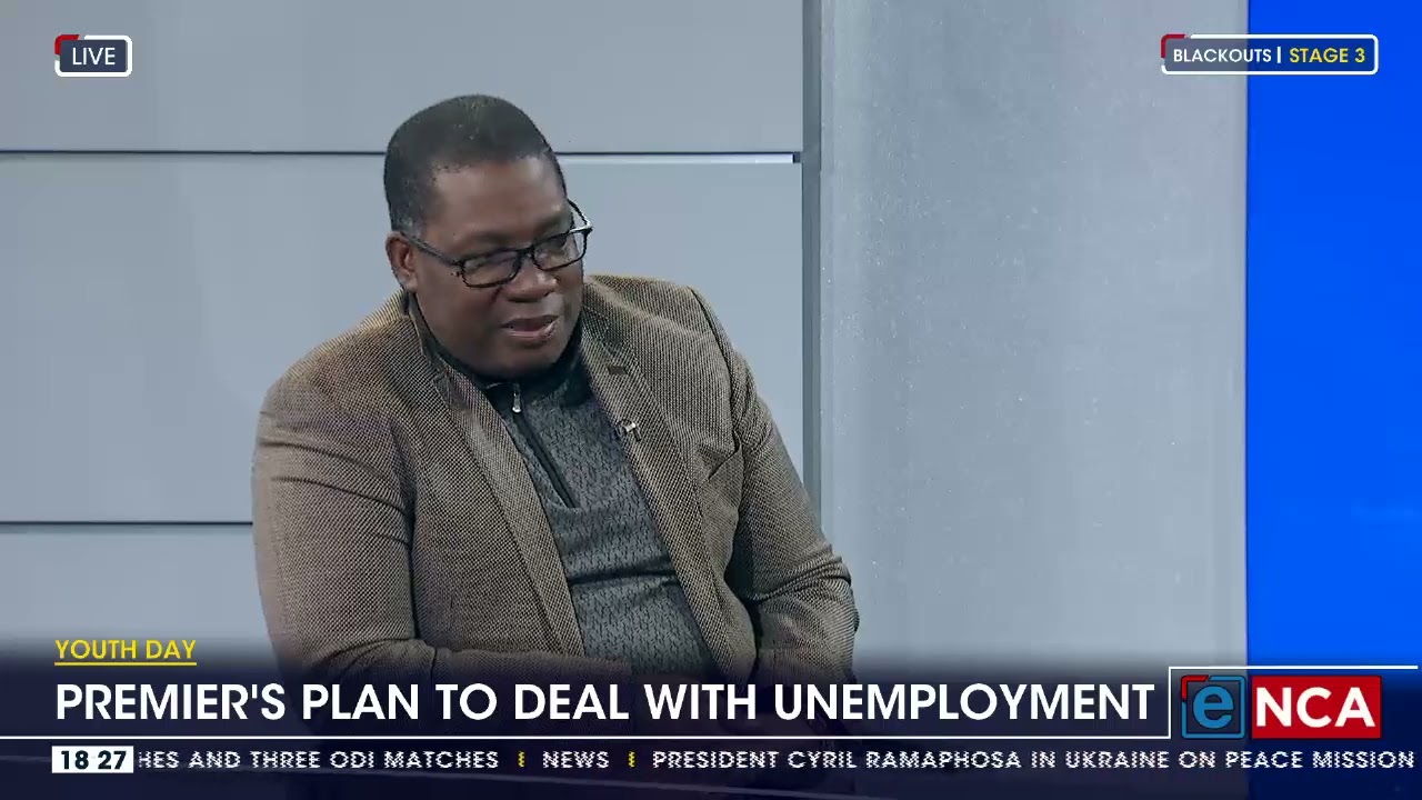Gauteng Premier Panyaza Lesufi speaks on unemployment