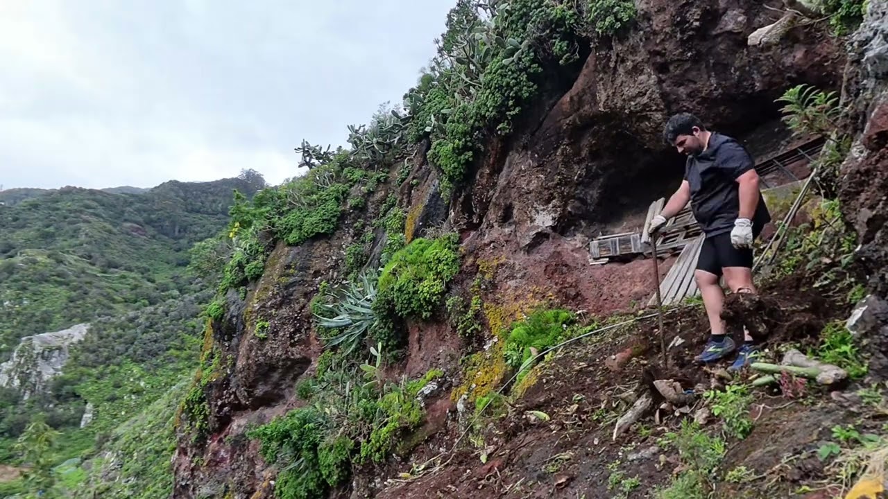 Recuperando un Bancal en Anaga 🌿 | Limpieza para Agricultura en el Batán | Cap10