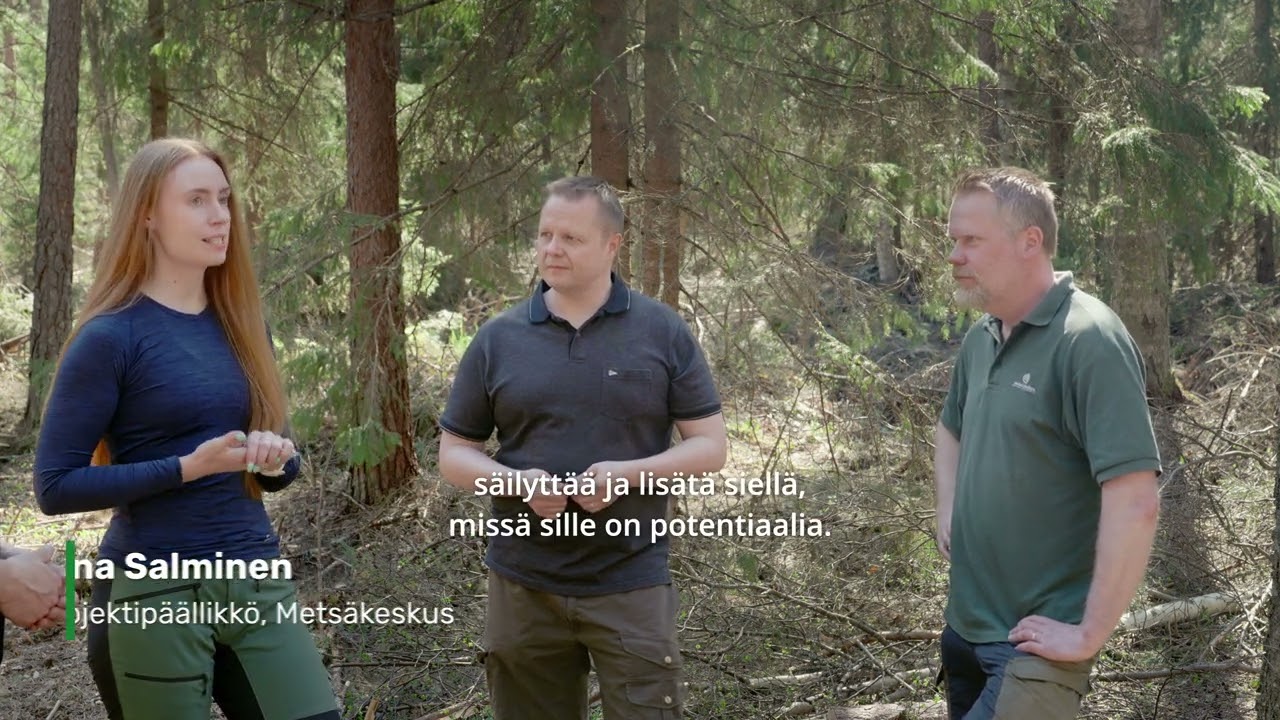 Täsmämetsänhoidon keinot