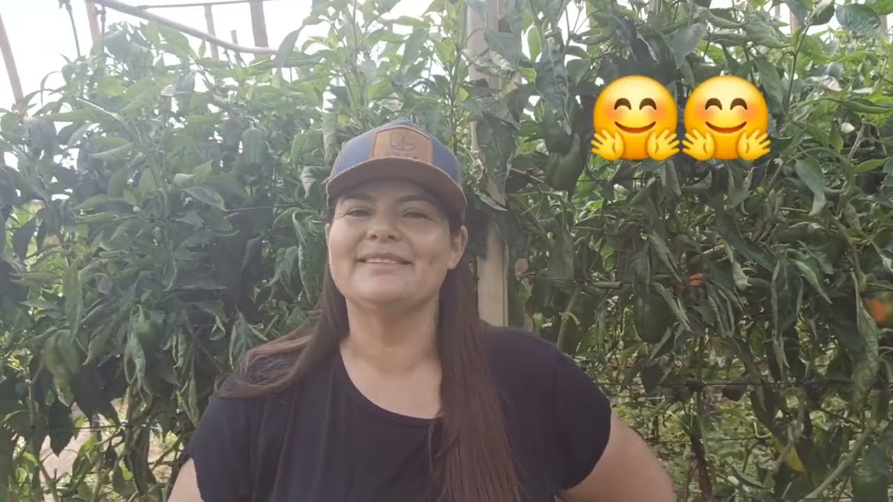 Mudamos de sitio 