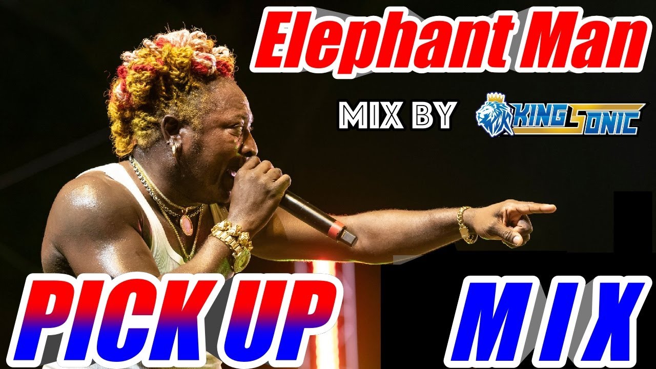 Elephant Man  PICK UP MIX  (mix by KING SONIC )