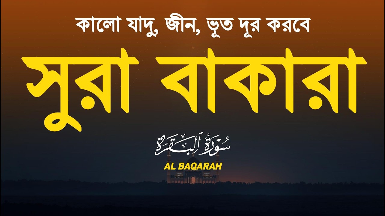 ঘরের উন্নতির জন্য সূরা বাকারা প্রতিদিন শুনুন । Surah Al Baqarah Full Quran Recitation | Alaa Aqel